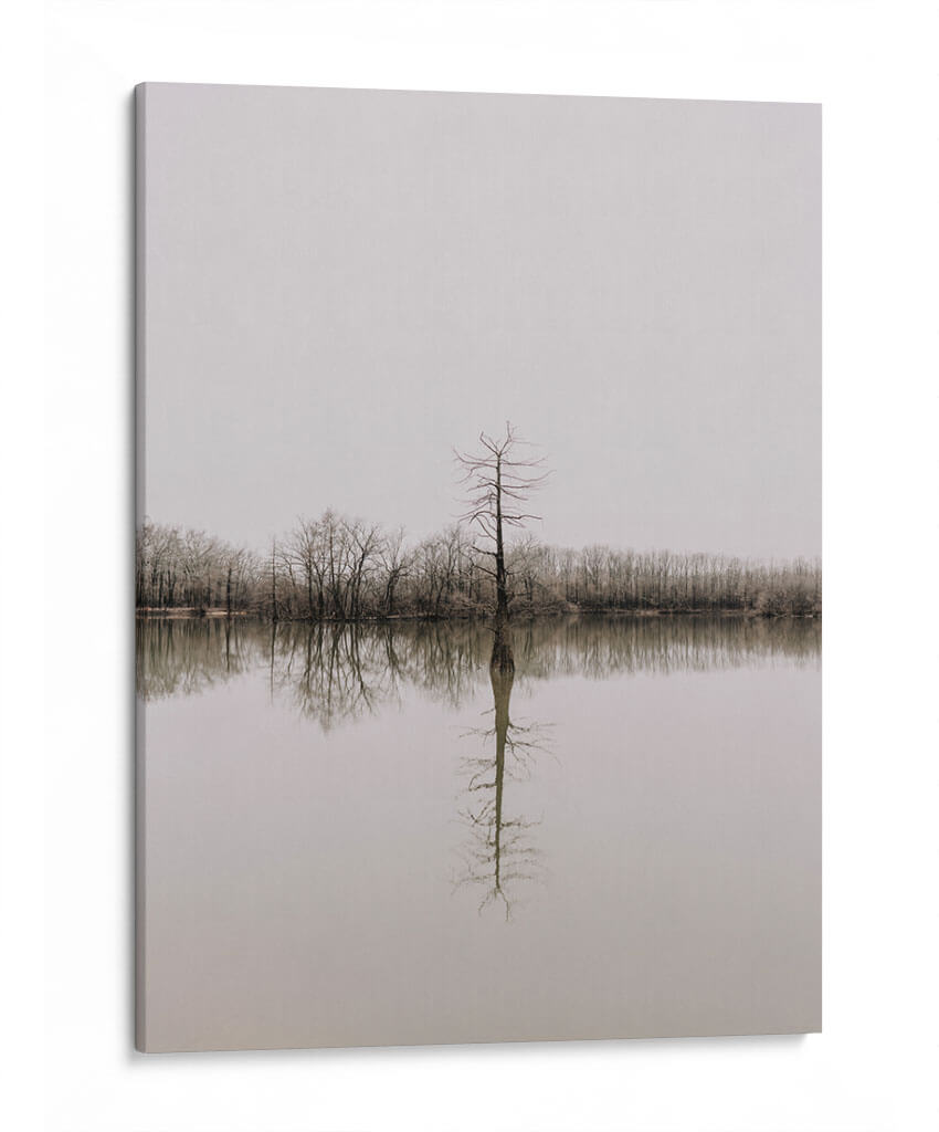 Árbol en pantano | Cuadro decorativo de Canvas Lab