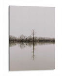 Árbol en pantano | Cuadro decorativo de Canvas Lab