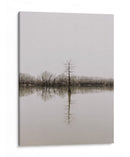 Árbol en pantano | Cuadro decorativo de Canvas Lab