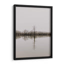 Árbol en pantano | Cuadro decorativo de Canvas Lab