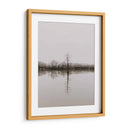 Árbol en pantano | Cuadro decorativo de Canvas Lab