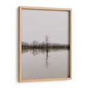 Árbol en pantano | Cuadro decorativo de Canvas Lab