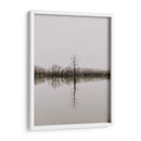 Árbol en pantano | Cuadro decorativo de Canvas Lab