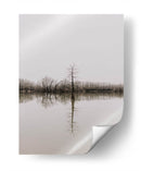 Árbol en pantano | Cuadro decorativo de Canvas Lab