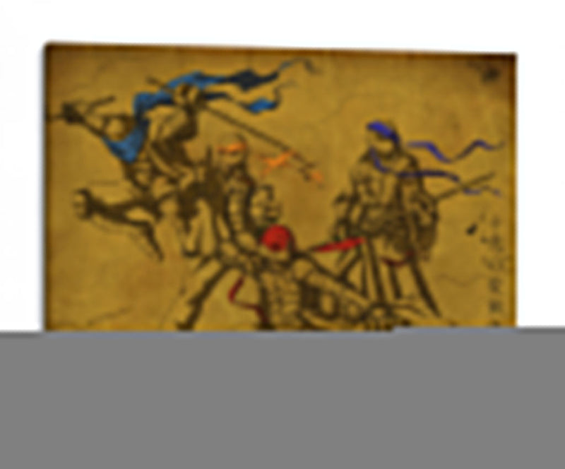 Ninja reptilia | Cuadro decorativo de Canvas Lab