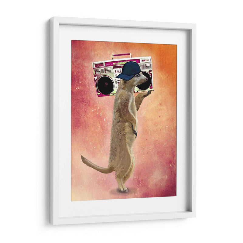 Caja De Meerkat Y Boom - Fab Funky | Cuadro decorativo de Canvas Lab