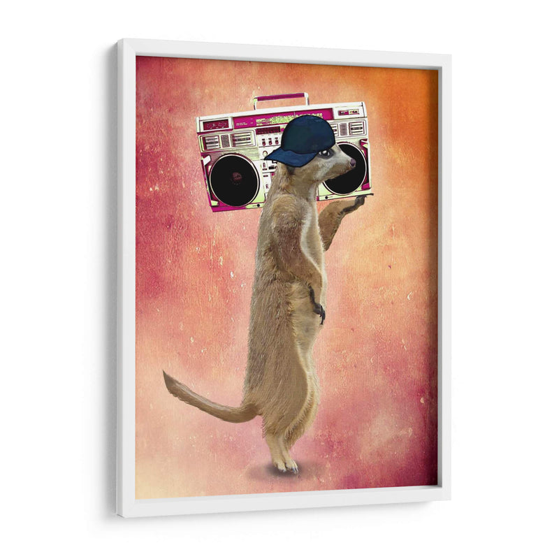 Caja De Meerkat Y Boom - Fab Funky | Cuadro decorativo de Canvas Lab