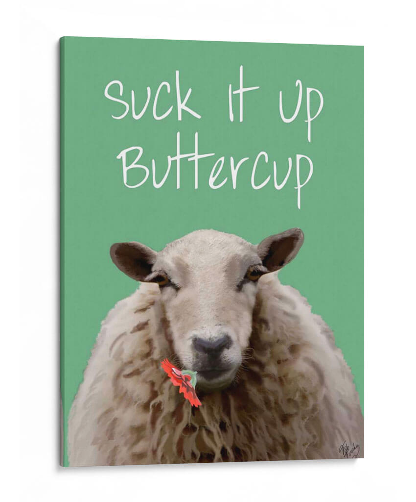 Suck It Up Buttercup Sheep Imprimir - Fab Funky | Cuadro decorativo de Canvas Lab