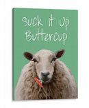 Suck It Up Buttercup Sheep Imprimir - Fab Funky | Cuadro decorativo de Canvas Lab