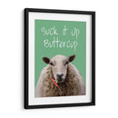 Suck It Up Buttercup Sheep Imprimir - Fab Funky | Cuadro decorativo de Canvas Lab