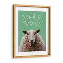 Suck It Up Buttercup Sheep Imprimir - Fab Funky | Cuadro decorativo de Canvas Lab