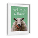 Suck It Up Buttercup Sheep Imprimir - Fab Funky | Cuadro decorativo de Canvas Lab