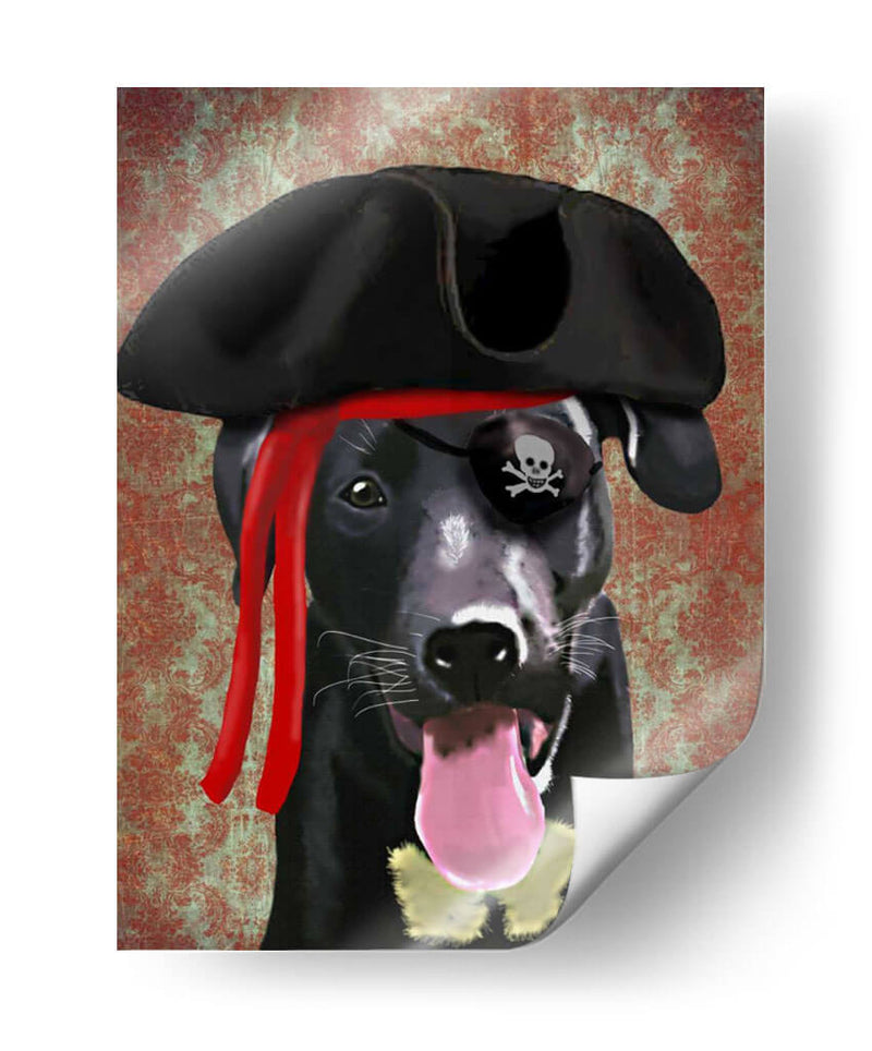 Perro Pirata De Labrador Negro - Fab Funky | Cuadro decorativo de Canvas Lab