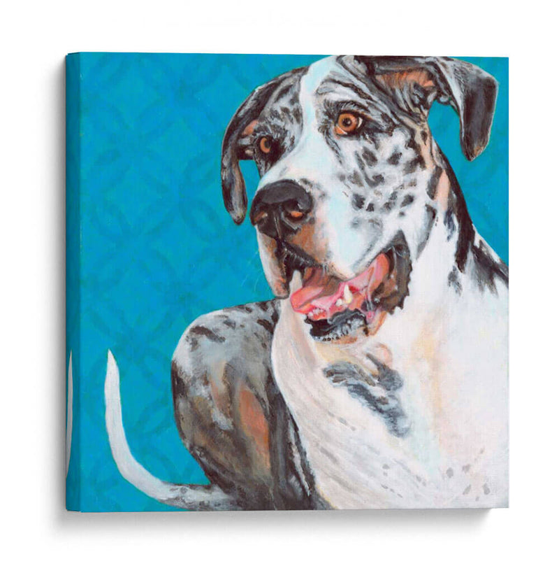 Dogs Drynns - Apolo - Dylnn Roll | Cuadro decorativo de Canvas Lab