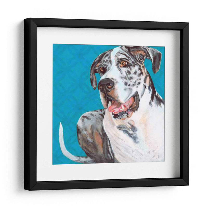 Dogs Drynns - Apolo - Dylnn Roll | Cuadro decorativo de Canvas Lab