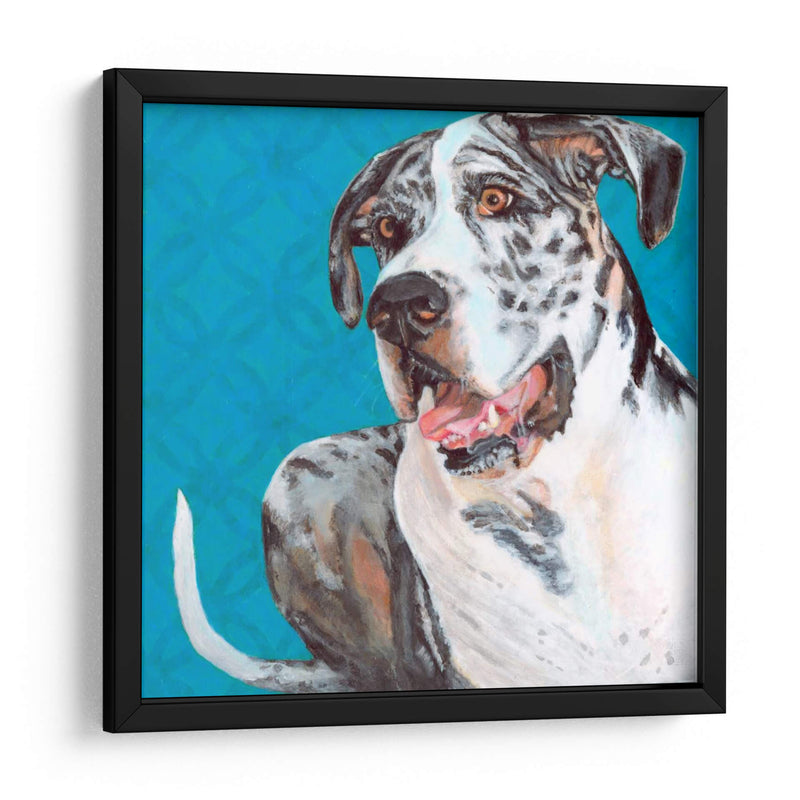 Dogs Drynns - Apolo - Dylnn Roll | Cuadro decorativo de Canvas Lab