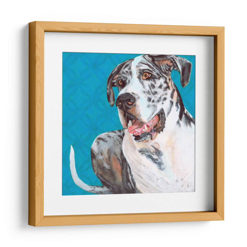 Dogs Drynns - Apolo - Dylnn Roll | Cuadro decorativo de Canvas Lab