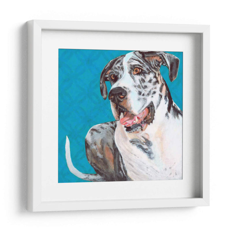 Dogs Drynns - Apolo - Dylnn Roll | Cuadro decorativo de Canvas Lab