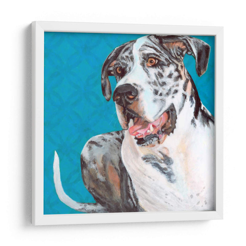 Dogs Drynns - Apolo - Dylnn Roll | Cuadro decorativo de Canvas Lab