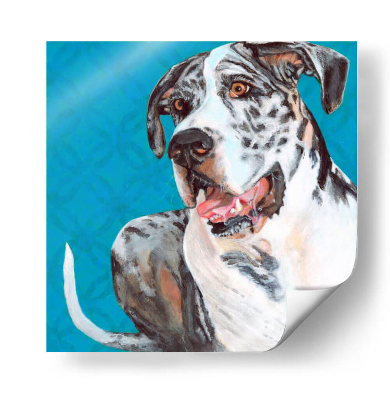 Dogs Drynns - Apolo - Dylnn Roll | Cuadro decorativo de Canvas Lab