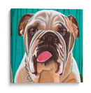 Dogs Drynns - Bosco - Dylnn Roll | Cuadro decorativo de Canvas Lab