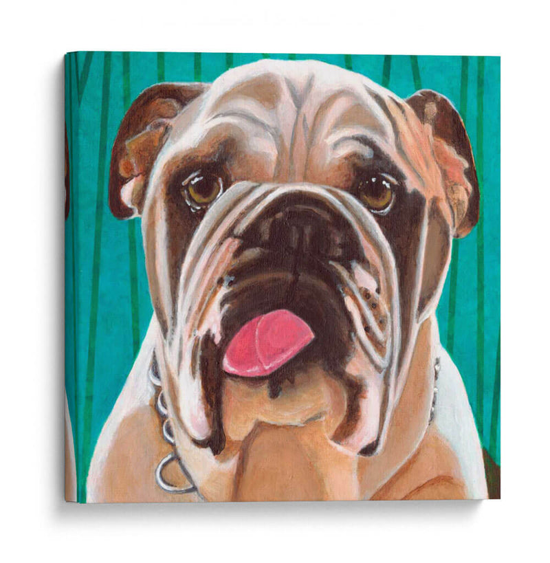 Dogs Drynns - Bosco - Dylnn Roll | Cuadro decorativo de Canvas Lab