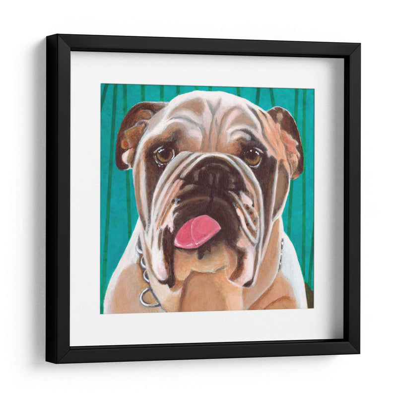 Dogs Drynns - Bosco - Dylnn Roll | Cuadro decorativo de Canvas Lab