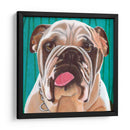 Dogs Drynns - Bosco - Dylnn Roll | Cuadro decorativo de Canvas Lab