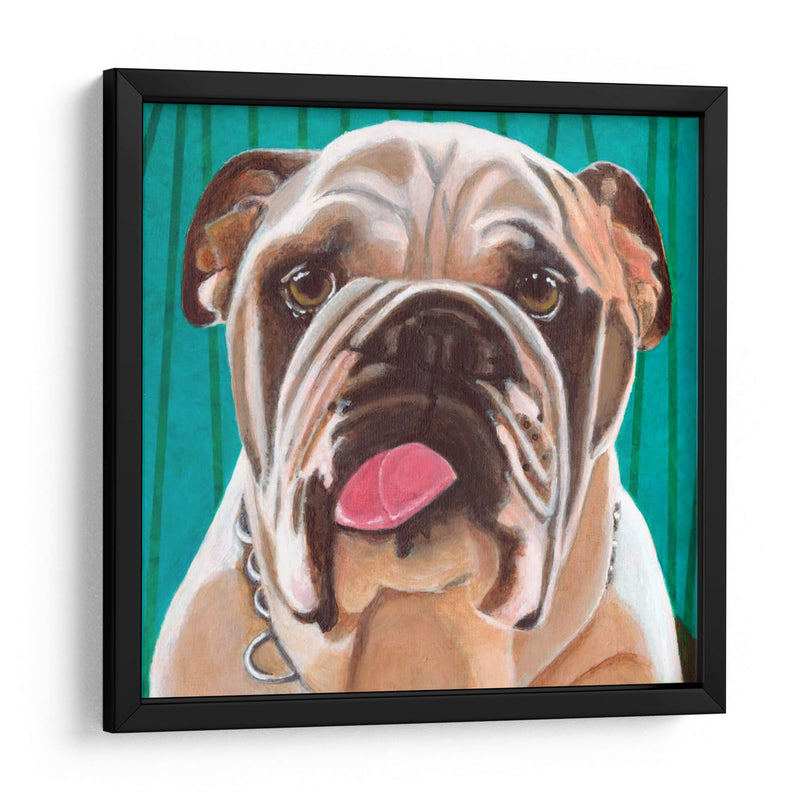 Dogs Drynns - Bosco - Dylnn Roll | Cuadro decorativo de Canvas Lab