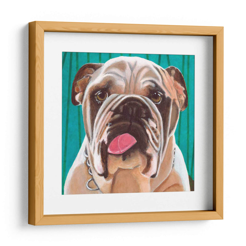 Dogs Drynns - Bosco - Dylnn Roll | Cuadro decorativo de Canvas Lab