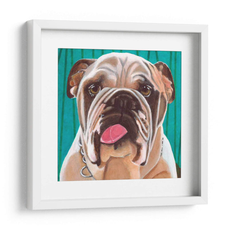 Dogs Drynns - Bosco - Dylnn Roll | Cuadro decorativo de Canvas Lab