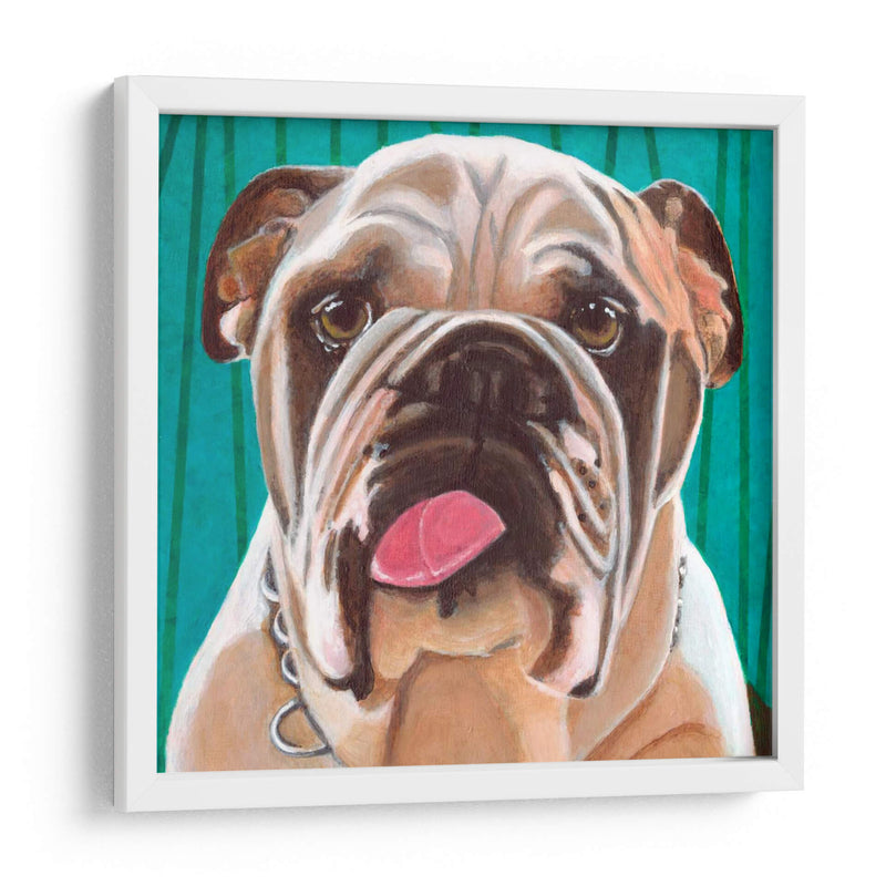 Dogs Drynns - Bosco - Dylnn Roll | Cuadro decorativo de Canvas Lab