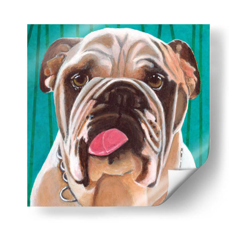 Dogs Drynns - Bosco - Dylnn Roll | Cuadro decorativo de Canvas Lab