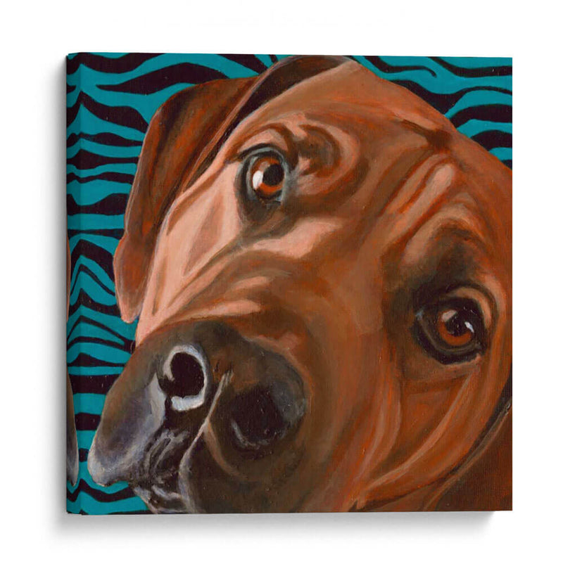 Dogs Drynns - Bunsen - Dylnn Roll | Cuadro decorativo de Canvas Lab