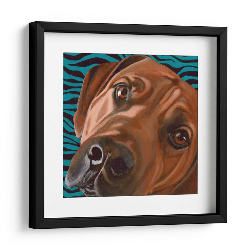 Dogs Drynns - Bunsen - Dylnn Roll | Cuadro decorativo de Canvas Lab