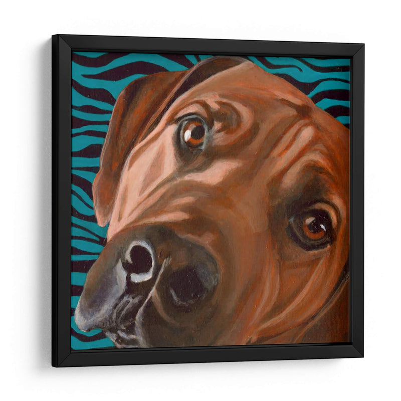 Dogs Drynns - Bunsen - Dylnn Roll | Cuadro decorativo de Canvas Lab