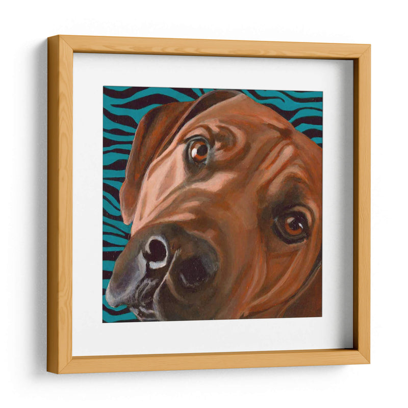 Dogs Drynns - Bunsen - Dylnn Roll | Cuadro decorativo de Canvas Lab