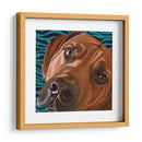 Dogs Drynns - Bunsen - Dylnn Roll | Cuadro decorativo de Canvas Lab