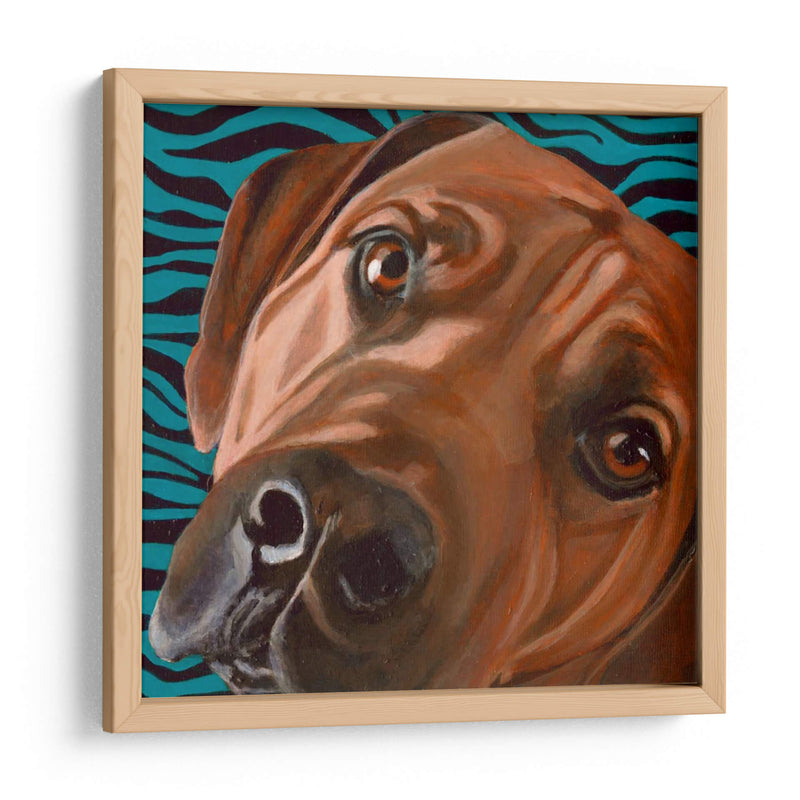 Dogs Drynns - Bunsen - Dylnn Roll | Cuadro decorativo de Canvas Lab