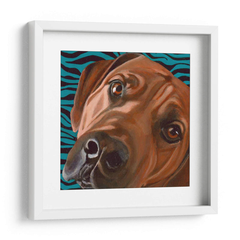 Dogs Drynns - Bunsen - Dylnn Roll | Cuadro decorativo de Canvas Lab