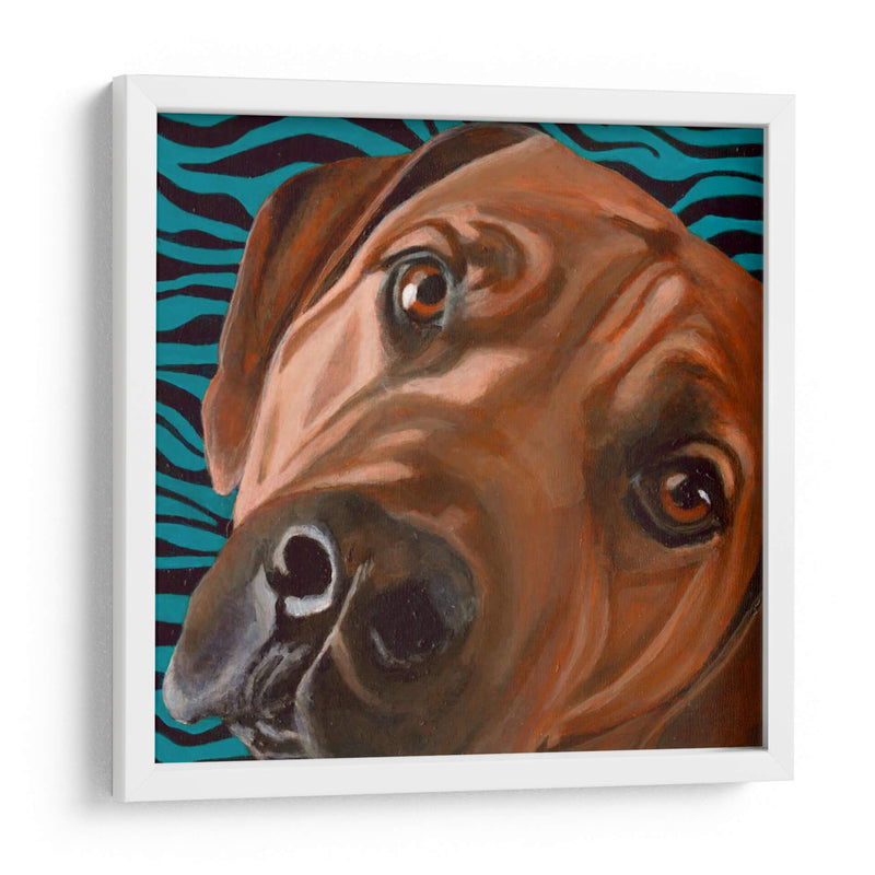 Dogs Drynns - Bunsen - Dylnn Roll | Cuadro decorativo de Canvas Lab