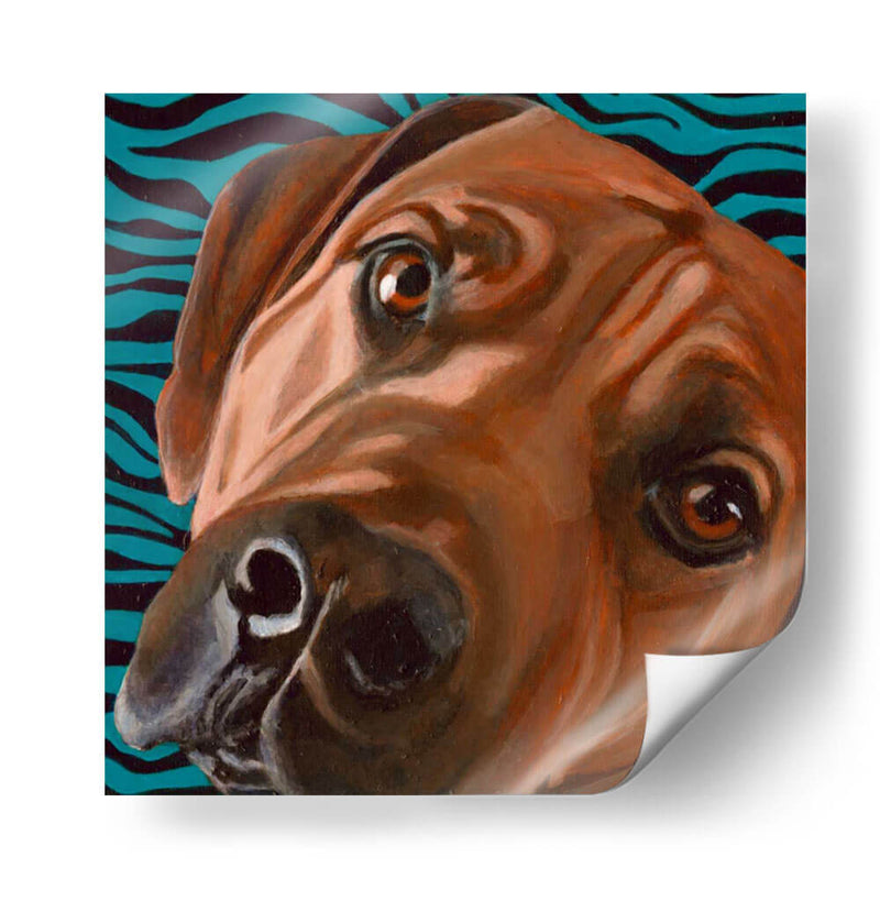 Dogs Drynns - Bunsen - Dylnn Roll | Cuadro decorativo de Canvas Lab