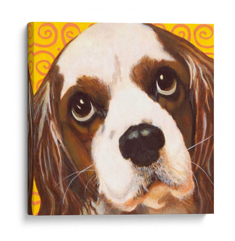 Dogs Drynns - Charlie - Dylnn Roll | Cuadro decorativo de Canvas Lab