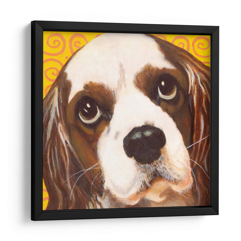 Dogs Drynns - Charlie - Dylnn Roll | Cuadro decorativo de Canvas Lab