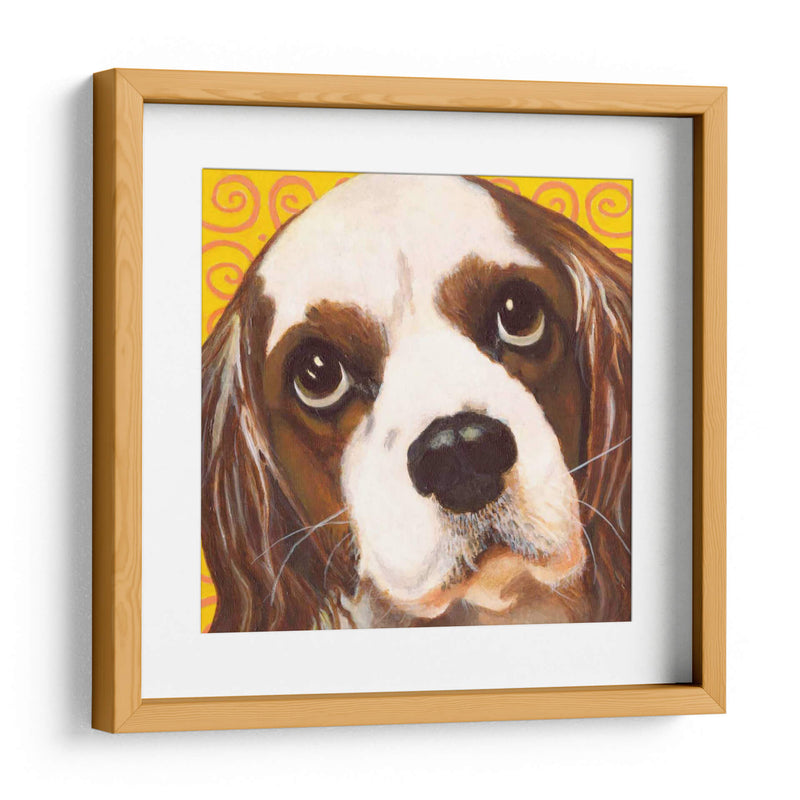 Dogs Drynns - Charlie - Dylnn Roll | Cuadro decorativo de Canvas Lab