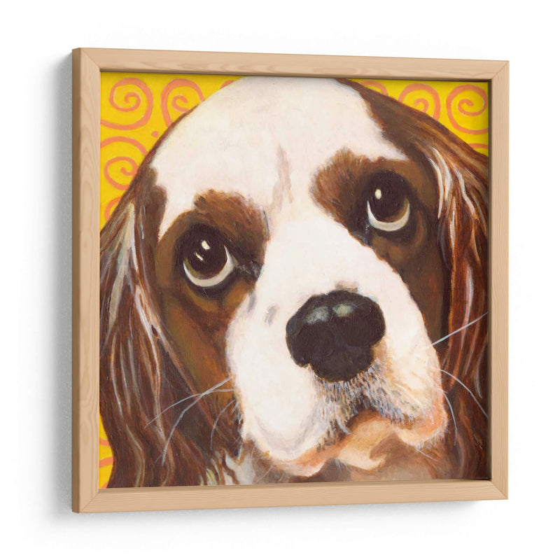 Dogs Drynns - Charlie - Dylnn Roll | Cuadro decorativo de Canvas Lab