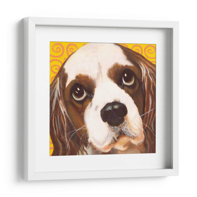 Dogs Drynns - Charlie - Dylnn Roll | Cuadro decorativo de Canvas Lab