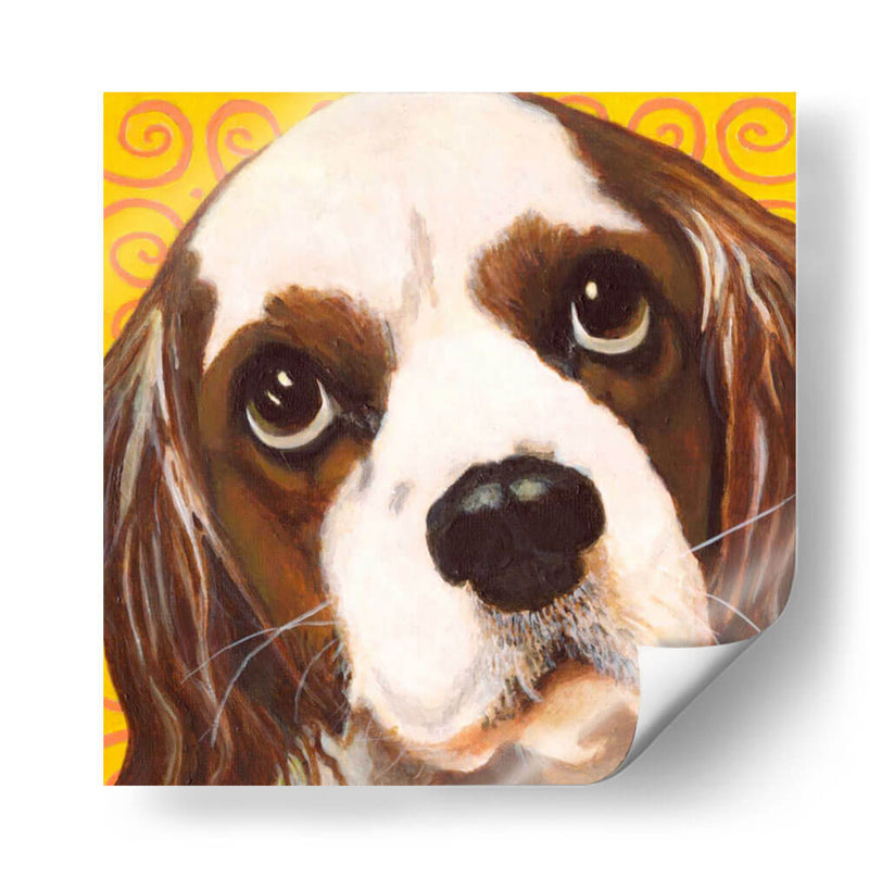 Dogs Drynns - Charlie - Dylnn Roll | Cuadro decorativo de Canvas Lab