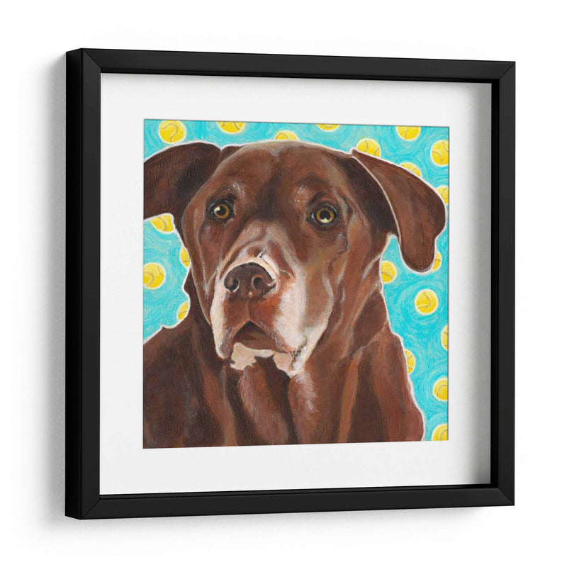 Dogs Dlynns - Consigue Tu Pelota - Dylnn Roll | Cuadro decorativo de Canvas Lab