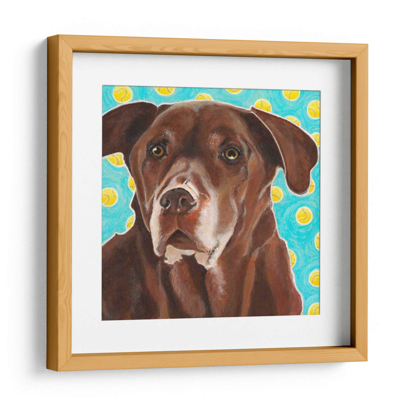 Dogs Dlynns - Consigue Tu Pelota - Dylnn Roll | Cuadro decorativo de Canvas Lab